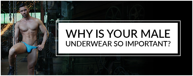 Why is your Male Underwear so important?
