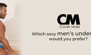 Which sexy men’s underwear would you prefer?